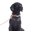 Collare al guinzaglio per addestramento del cane con catena P Corda in nylon antisoffocamento per forniture a prova di esplosione per passeggiate all'aperto di piccole dimensioni e medie 240226