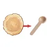 Spoons 10Pcs Small Wooden Spoon Kitchen Seasoning Honey Coffee Salt Measuring Teaspoons Jars Tools Cooking Supplies