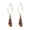 Dangle Brincos Natural Seashell Conch Mulheres Meninas Moda Gota