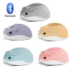 Mäuse Bluetooth/2,4G Wireless Nette Maus Hamster Cartoon USB Kreative Stumm Mause Ergonomische Mini 3D Optische Kid Geschenk mäuse Für PC Laptop