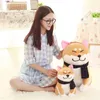 2024 25 centimetri Carino Indossare Sciarpa Shiba Inu Cane Peluche Morbido Animale di Pezza Giocattolo Akita Cani Bambola per Gli Amanti Bambini Regali di compleanno