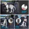 Cinture Cintura di sicurezza per auto per cani 3in1 Guinzaglio per cani Cintura di sicurezza per veicoli Ammortizzazione regolabile Corda elastica riflettente Cablaggio per auto Forniture per animali domestici