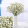 Декоративные цветы 100 г Большой букет BabysBreath Натуральные сушеные консервированные цветы гипсофилы Пасхальный декор 2023 Праздничные принадлежности День матери Весна 2024304