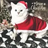 Kläder Atuban Pet Christmas Costume Cat Santa Outfit Small Dog Xmas Hat With Cloak Set Cat New Year Apparel Cat Costumes