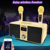 Subwoofer Karaoke wireless bluetooth sound column 3D stereo surround subwoofer with dual microphones music system center for TV/computer