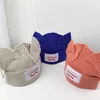 BeanieSkull Caps KPOP Stray Kids Felix Same Beanies Katzenohren Hut gestrickt süße Wolle Casual Männer Frauen Accessoires 221128301R