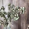 100G2545cm Decoratieve natuurlijke gedroogde bloemen Zombie Fruit Droog eucalyptus boeket voor onsterfelijke bloem diy materiaal 240223