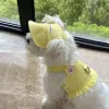 Västar godis färg väst klänning hundkläder valp kawaii glid kjol små hundar kläder katt koreansk mode sommar tunn tjej söt husdjur