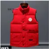 Canadas Gooses Down Vest Designer Gilet da uomo Gilet invernale Unisex Coppia Bodywarmer Giacca da donna senza maniche Outdoor caldo e spesso Outwea 144