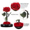 Gifts For Mom The Beauty and Beast Eternal Rose Mothers Day Fresh Flowers Women Her 240223