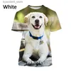 Camisetas para hombres Nuevos hombres divertido casual perro 3D camiseta de manga corta estilo harajuku mascota impresión top lindo animal labrador retriever camiseta l240304