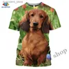 Herr t-shirts tax t-shirts teckel tee skjortor för män dackel hund 3d t skjortor tryckt toppar överdimensionerade kvinnor söta kläder homme kort ärm l240304