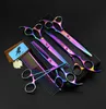 7 inch electroplating blackpurple lander scissors set with 4 pcs scissors combretail case and Hemostatic forceps5767796