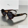 Sonnenbrille Retro Cats Eye Für Frauen Ces Arc De Triomphe Oval Französisch High Street Drop Lieferung Mode Zubehör NB79