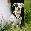 Coleiras de cachorro macio e confortável coleira de animal de estimação elegante bandana de casamento com arco traje ajustável para festa encantadora