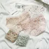 Kadın Panties Orijinal Japon Peri Serisi Çırpıcı Net Gazlı Midwaist Dantel Pamuklu Kasık Kadın Çanta Kalçası Kızlar