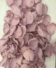 Pétales de Rose en Satin Rose poussiéreux clair pour pétales de mariage pétale de Rose de fille de fleur douce 120 pièces un lot5409735