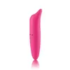 vibrator Sexproducten voor volwassenen kleine dolfijn G-spot vibrerende stok Mini massage vrouwelijk masturbatieapparaat 231129