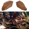 Mangeoires 50pcs feuilles de Catappa naturelles feuille d'amande traitement de nettoyage de poisson réservoir d'aquarium réduire le PH