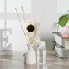 Fragrância 30ml ar fresco escritório aromaterapia vara fragrância rattan bola reed difusor conjunto sol flor presente casa decoração do banheiro conjunto