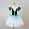 Scene Wear Professional Tutu Ballet Dress for Girls Kids Ballerina Dance Contemporary Costumes Classical