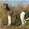 Chandails en polaire |Greyhound Whippet Italian Apparel Gilet Col Roulé 240228