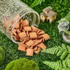 100 Pcs Roof Tiles Building Set Miniature Mini Dollhouse Shingles Fake Tile Kitchen Garden Accessories 240223