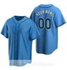 Stitched 2024 Baseball Jersey 28 Greg Jones 25 Curtis Mead 10 Amed Rosario 54 Austin Shenton 6 Taylor Walls 21 Jonny Deluca 15 Josh Lowe 1 Richie Palacios 2 Yandy Diaz