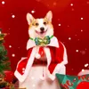 50100st Bell Dog Bowtie Christmas Bow Tie Collar For Dogs Bows Grooming Accessories Pet Supplies 240220