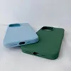 Apple iPhone 12 için MagSafe Kablosuz Şarj için En Kaliteli Sıvı Silikon İPhone Kılıf Kabuğu Perakende Box9482076