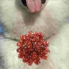 Dog Apparel 10 Pcs Bow Pet Owner Gift Cat Flower Collar Decor Flowers Halloween Costumes Lace Charms For