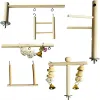 Toys Parrot Playground Parakeet Perches Outside Cage Bird Climbing Ladder Swing Toy Natural Wood Cockatiel Play Gyms Stand Perches