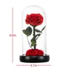 Geschenke für Mama Die Schöne und das Biest Ewige Rose Muttertag Frische Blumen Frauen Sie 240223