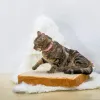 Mats Soft Bread Cat Mat, Подушка для домашних животных, Диван-кровать, Портативный шезлонг для собак, Щенок, Подстилка для котят, Подушка для домашнего коврика, Кровати для кошачьего домика,