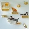 خدش Cat جدار مثبتة على الأرجواق Cat Cat Tree مزيج من القنب حبل سلم سلم القطط منصة الأثاث الخشبية