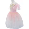 Scen Wear 2024 Ballet Dress Long Dance Show för Woman's Tutu Girl Chicken Lake Angsa Kostum Bailina