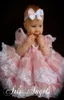 ピンクの派手な家宝ドレス赤ちゃん洗礼服の幼児ページェントフラワーズドレスレース階層スカートファースト聖体