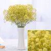 Декоративные цветы 100 г Большой букет BabysBreath Натуральные сушеные консервированные цветы гипсофилы Пасхальный декор 2023 Праздничные принадлежности День матери Весна 2024304