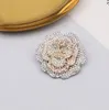 20Style Brand Designer Double Camellia Lettre Broche Gold Femmes plaquées Men Luxury Luxury Elegant Square Brooches Pin Metal Fashion Bijoux ACCESSOIRES DE HAUTE QUALITÉ