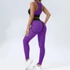 Mulheres terno para fitness malha ginásio define roupas das mulheres transparente esporte leggings conjunto de duas peças roupas de treino roxo 240301