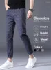 Pantalon pour hommes Printemps Été Haute Qualité Plaid Lignes Casual Longueur de la cheville Hommes 98% Coton Classiques Rétro Business Banquet Pantalon Mâle