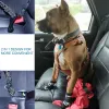 Cinture Cintura di sicurezza per auto per cani 3in1 Guinzaglio per cani Cintura di sicurezza per veicoli Ammortizzazione regolabile Corda elastica riflettente Cablaggio per auto Forniture per animali domestici