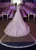 ゴージャスな大聖堂の結婚式のベールレースアップリケドエッジソフトチュールワンレイヤーcomb2004949付き長いテーラードブライダルベール