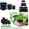 Pots Diameter 20pcs 5cm 8pcs 8cm 3pcs 12cm Plant Rooting Ball Equipment High Pressure Propagation Breeding Case For Garden Sapling