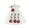 Girl039s Abiti 04 anni Neonate Abito in pizzo Bambino Bambini Fiore rosa Principessa Tutu Party Estate Vestito estivo bianco Childre4134019