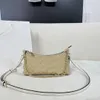 2024 Nouveau sac à aisselles Eliza haut de gamme, sac à chaîne en forme d'oreiller, sac à bandoulière en forme de sac haut de gamme, sac pour téléphone portable de grande capacité, sac à rouge à lèvres, sac de créateur, incontournable