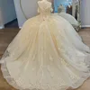 Vestido para quinceañeras color champán ligero, 16 vestidos con hombros descubiertos, encaje con apliques, vestido De baile De tul, vestido De princesa para fiesta De cumpleaños, Vestidos 15 De