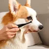 Brosse porte-chien pour animaux de compagnie, brosse anti-taches, peigne, dissolvant efficace avec poignée ergonomique, confortable pour