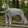 Jackor Pet Dog Winter Turtleneck Whippet Clothes Plush Thickning Italian Greyhound Coat Gree Dog Bedlington Small Medium Dogs Jacket