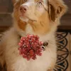Vêtements de chien 10 pcs arc propriétaire d'animal de compagnie cadeau chat collier de fleur décor fleurs costumes d'halloween charmes de dentelle pour